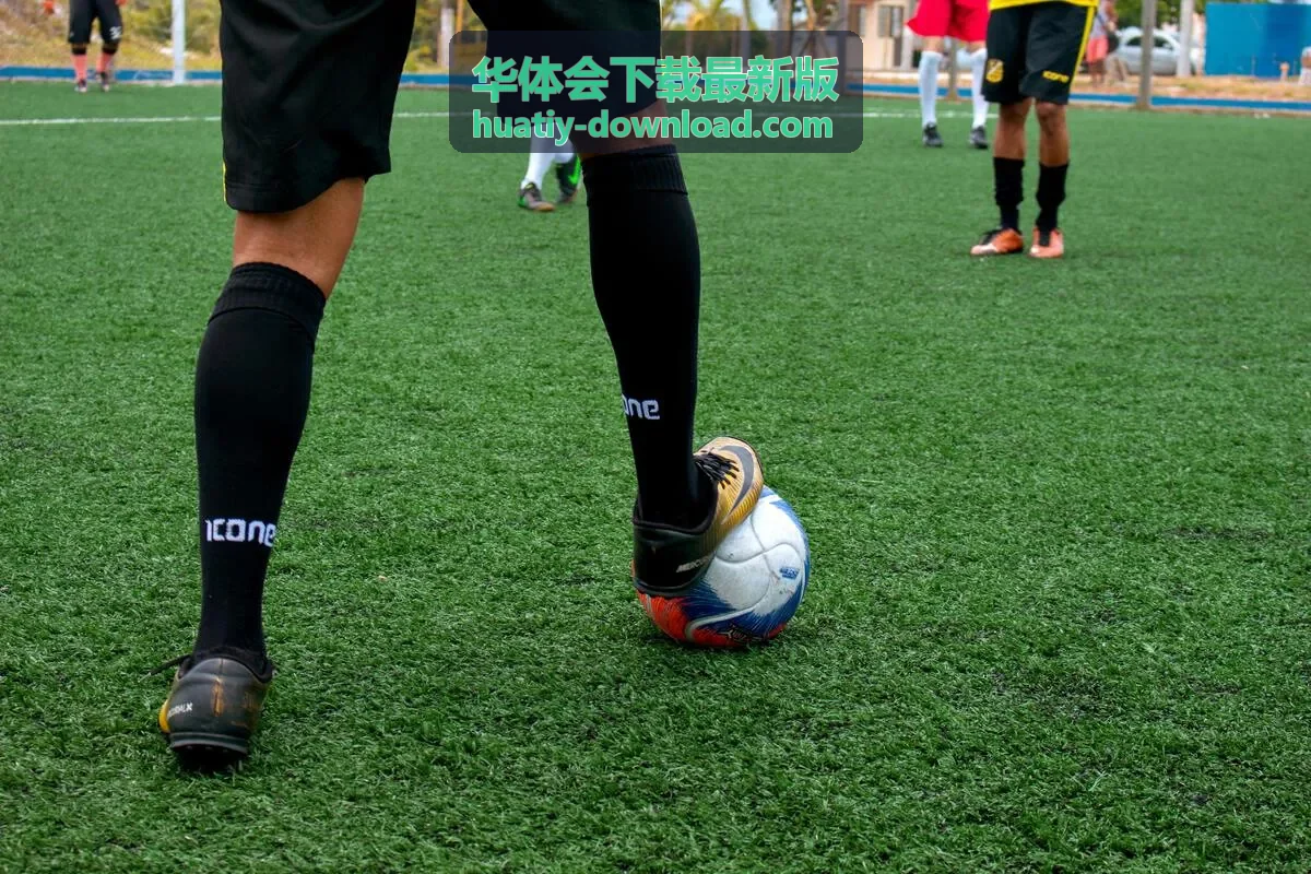华体会下载最新版界面预览